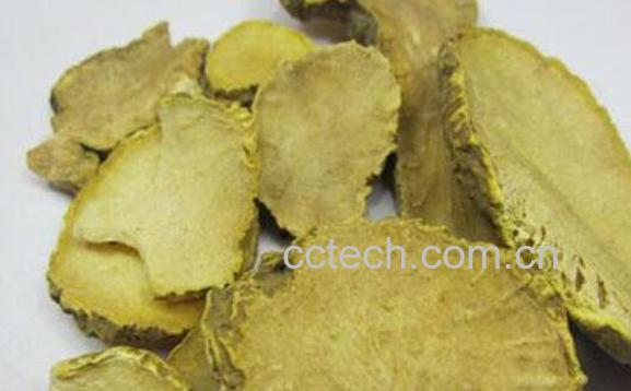 金果榄的功效与作用及药用价值-1