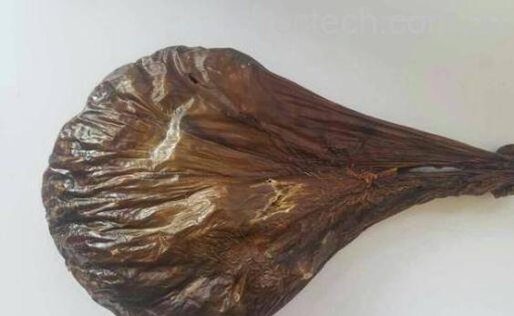 鹿胎的功效与作用 鹿胎膏什么时候吃最好-0