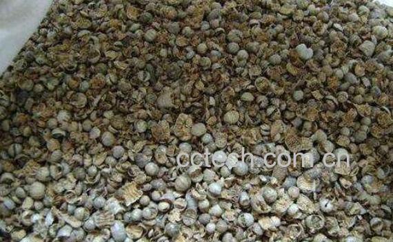 青礞石的功效与作用及药用价值-1