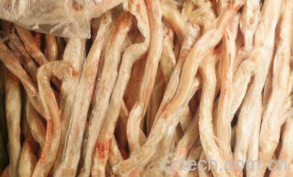 羊鞭的功效与作用-0