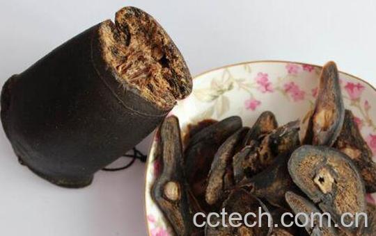 鹿尾巴的功效与作用-0