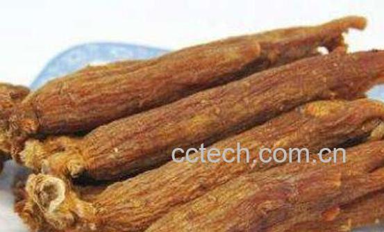 红参的功效与作用 红参的药用价值-1