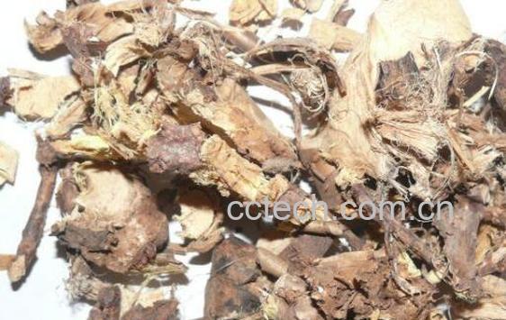 金雀根的功效与作用及常见用法-0