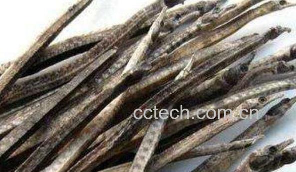 海龙的功效与作用有哪些-0