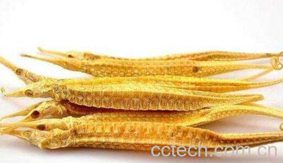 海龙的功效与作用有哪些-1