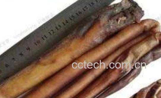 牦牛鞭的功效与作用及食用方法-0