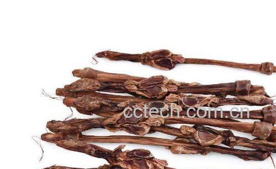 鹿鞭的功效与作用 鹿鞭的吃法-0