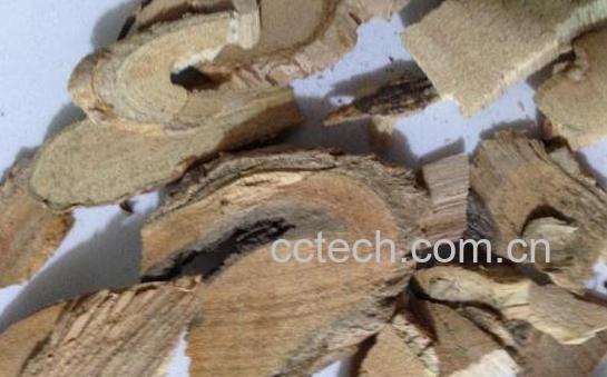 猫人参的功效与作用及药用价值-1