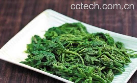 桑芽的功效与作用-0