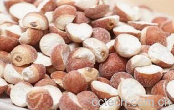 芡实的功效与作用及禁忌-1