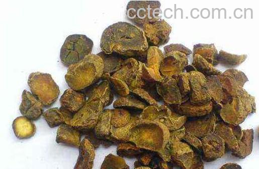 延胡索的功效与作用及药用价值-0