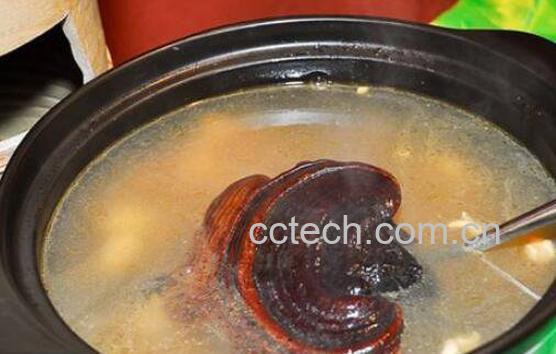 灵芝怎么吃效果最好 灵芝最有效的吃法-0