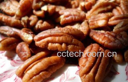 油胡桃的功效与作用及药用价值-1