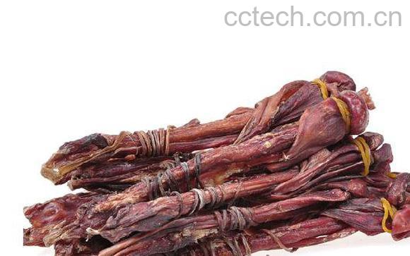 海狗鞭的功效与作用-1