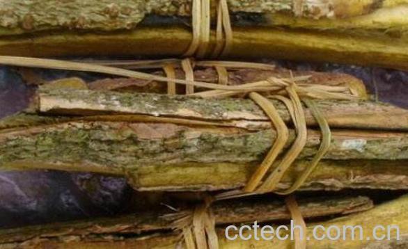 木蝴蝶树皮的功效与作用-0