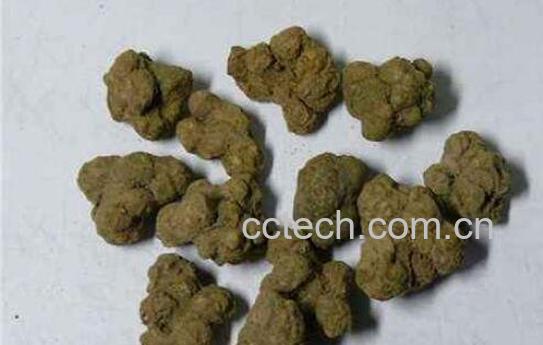 夏天无的功效与作用-0