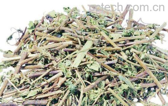 小地扭的功效与作用-1