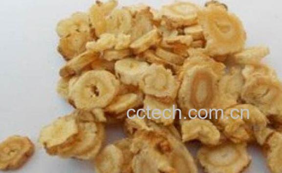 北沙参的功效与作用及禁忌-0