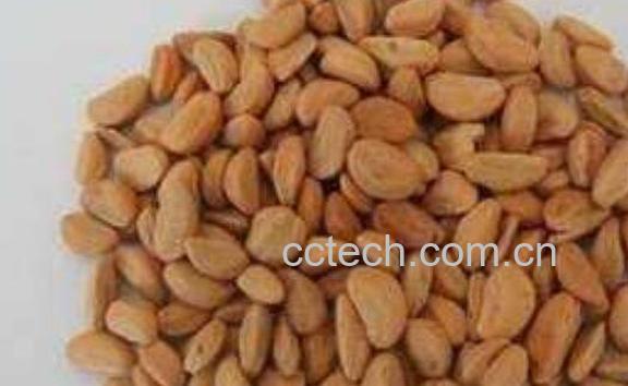 山楂核的功效与作用及药用价值-0