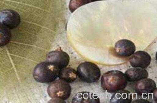 杜松实的功效与作用及药用价值-0