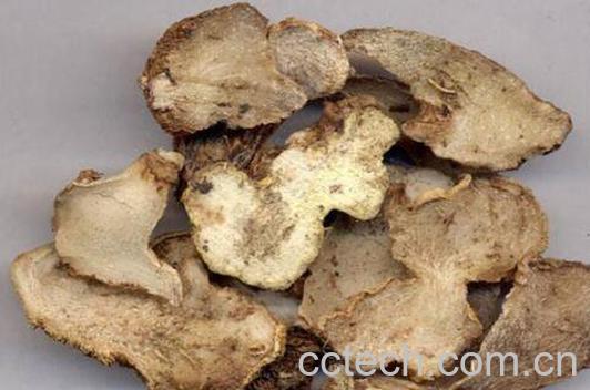 白芨的功效与作用 白芨的药用价值-1