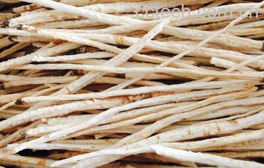 南沙参和北沙参的区别-0