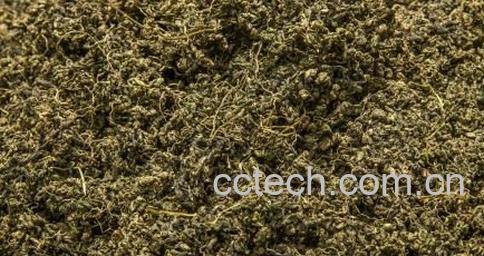 神仙草如何泡水渴 神仙草泡水渴的功效-0