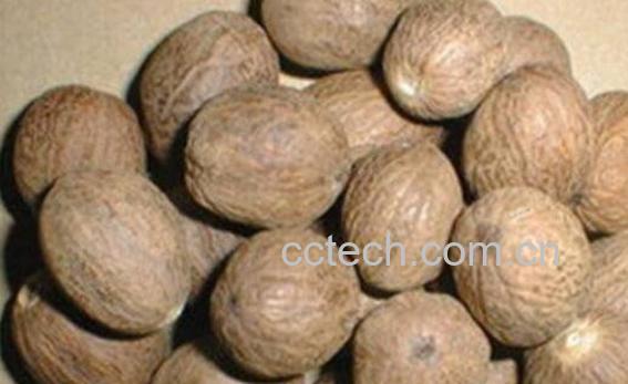 肉蔻的功效与作用 肉蔻怎么用-0