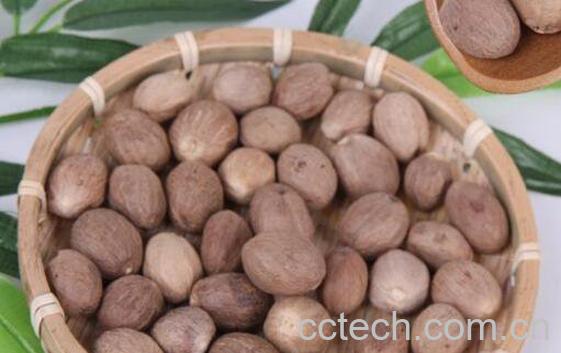 肉蔻的功效与作用 肉蔻怎么用-1