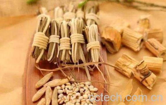 芦根的功效与作用及药用价值-1