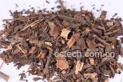 桑寄生泡水喝的功效-0