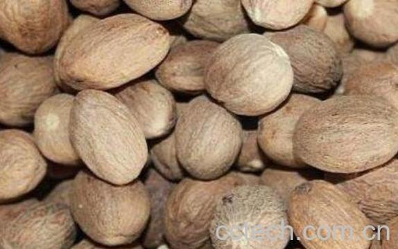 煨肉豆蔻的功效与作用-0