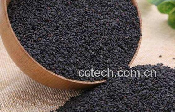 盐菟丝子的功效与作用 盐菟丝子的药用价值-0