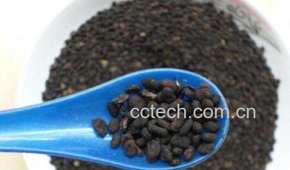 盐补骨脂的功效与作用及药用价值-1