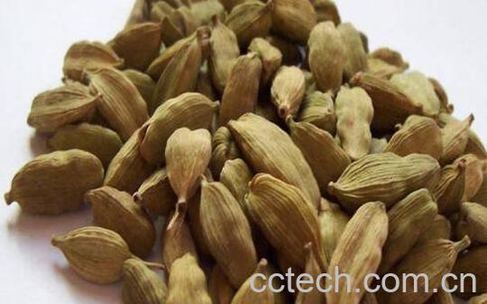 草豆蔻与肉豆蔻的区别 草豆蔻的功效-1