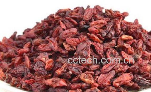 山萸肉的功效与作用及食用方法-1