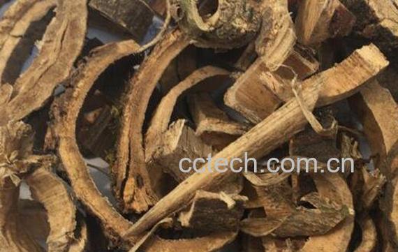 中药合欢皮的功效与作用 合欢皮的副作用-0