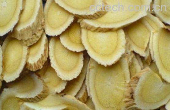 蜜灸黄芪的功效与作用-1