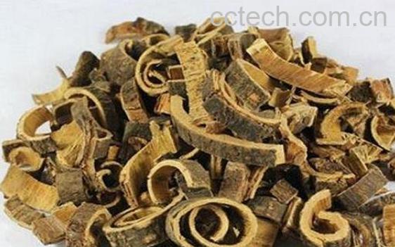 中药合欢皮的功效与作用 合欢皮的副作用-1