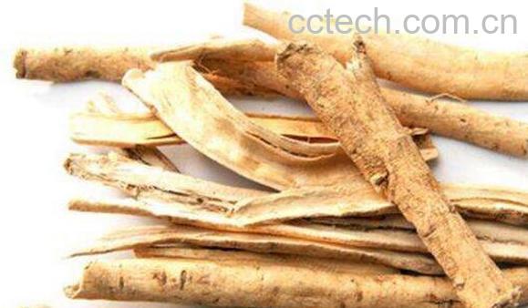 白鲜皮的功效与作用 白鲜皮种子功效-0