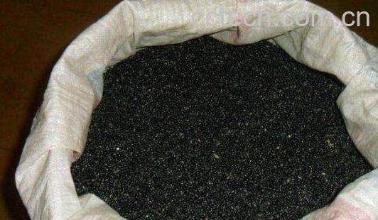 白鲜皮的功效与作用 白鲜皮种子功效-1