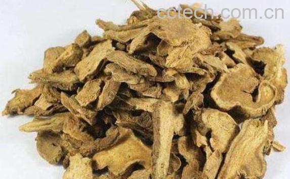 白术的功效与作用 白术能美容吗-0