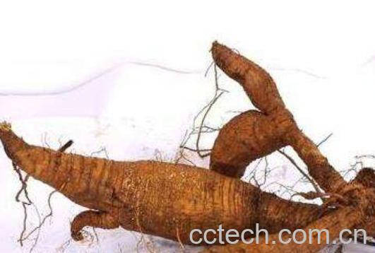 葛根酒的作用与功效-1