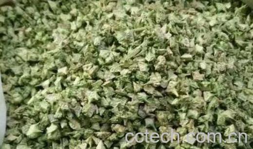 炒蒺藜的功效与作用-1