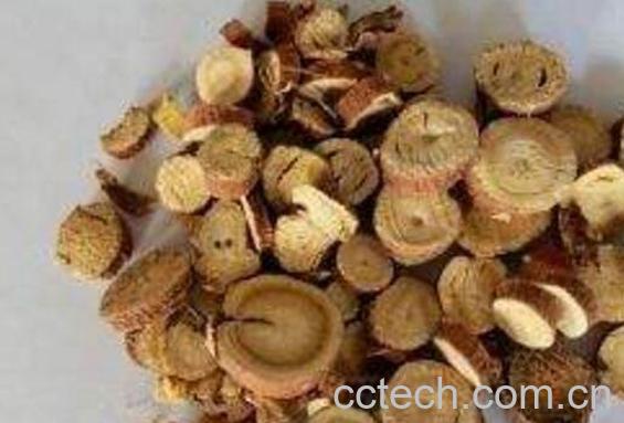 蜜灸甘草的功效与作用-0