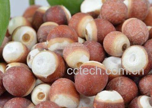 芡实米的功效与作用及药用价值-0