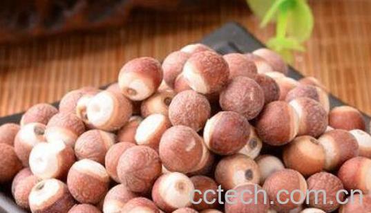 芡实米的功效与作用及药用价值-1