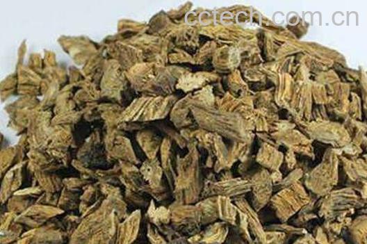 炙百部的功效与作用-1