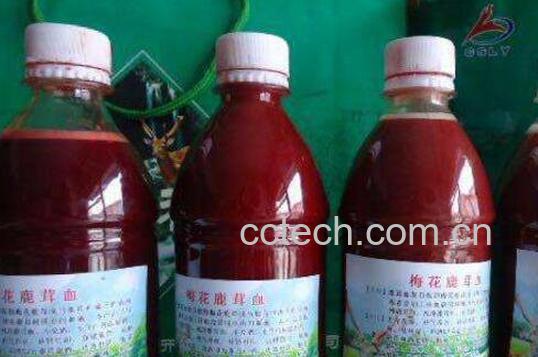 女性喝鹿血酒的功效-1