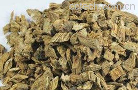 生百部的功效与作用-1